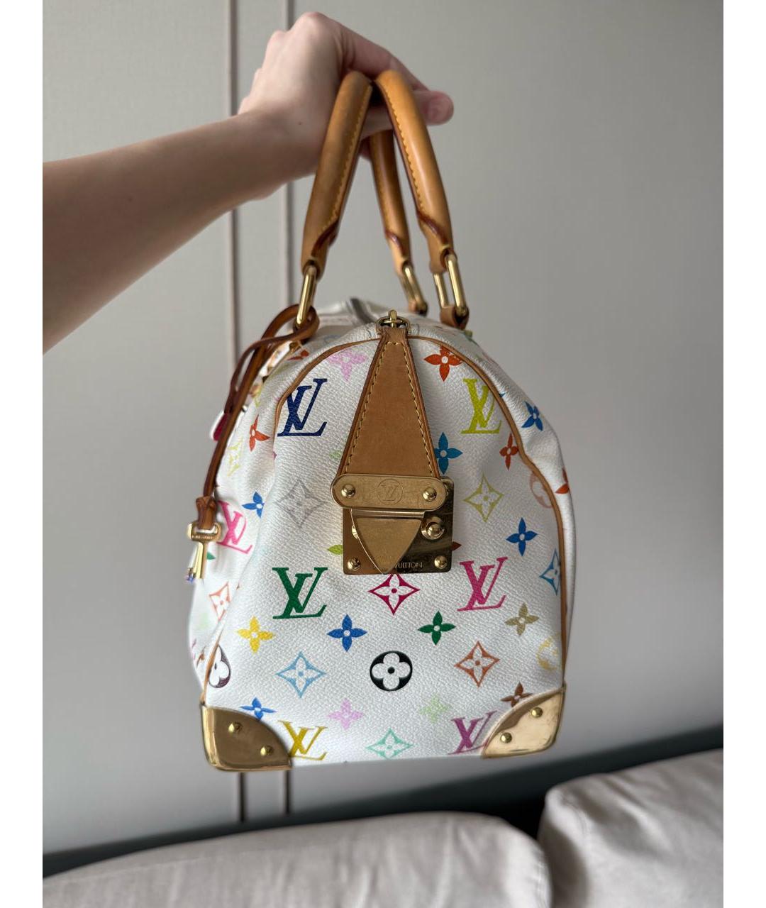 LOUIS VUITTON Мульти сумка с короткими ручками, фото 5