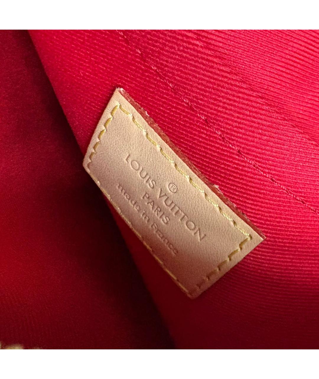 LOUIS VUITTON Коричневая сумка тоут, фото 5