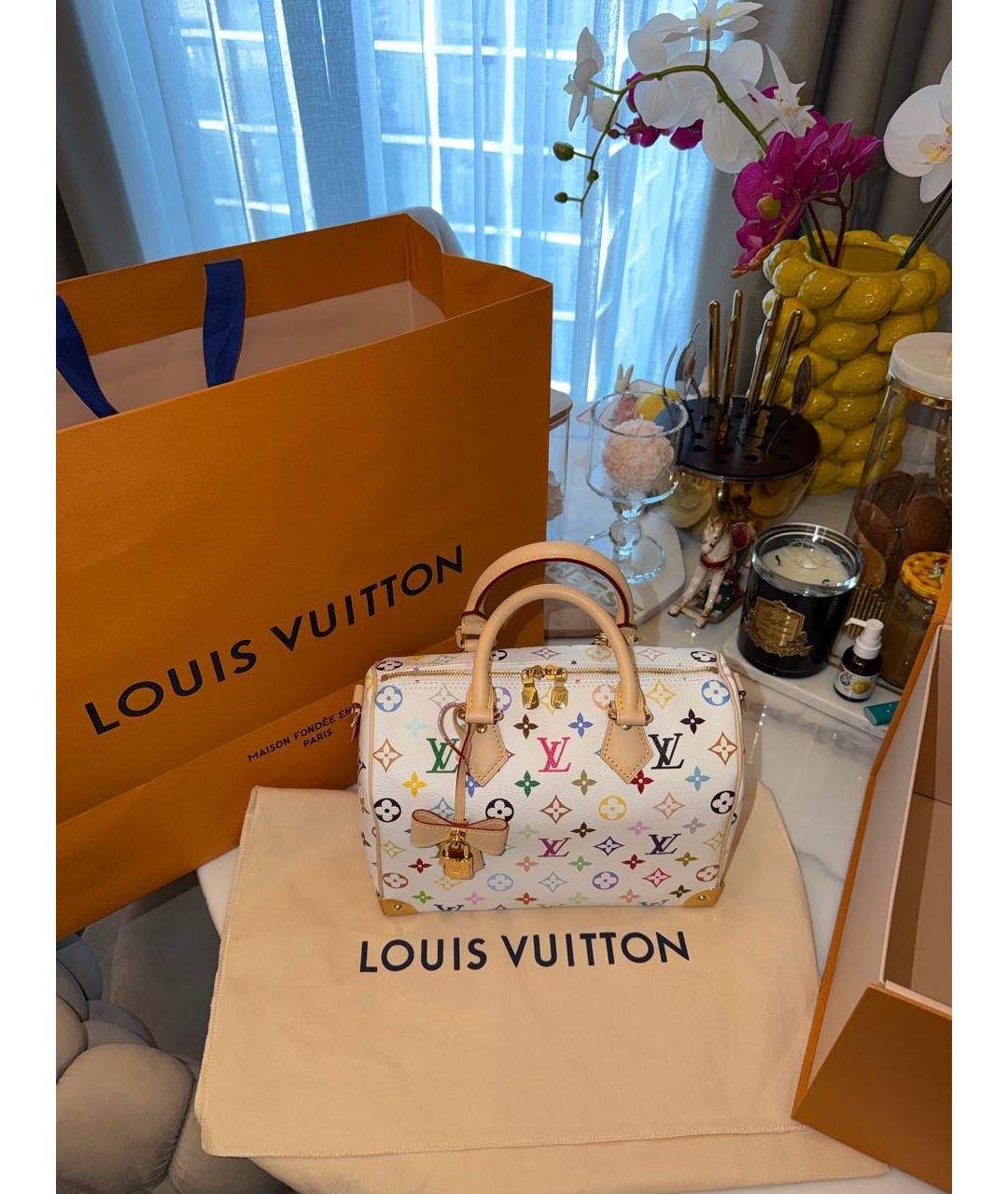 LOUIS VUITTON Мульти сумка с короткими ручками, фото 7