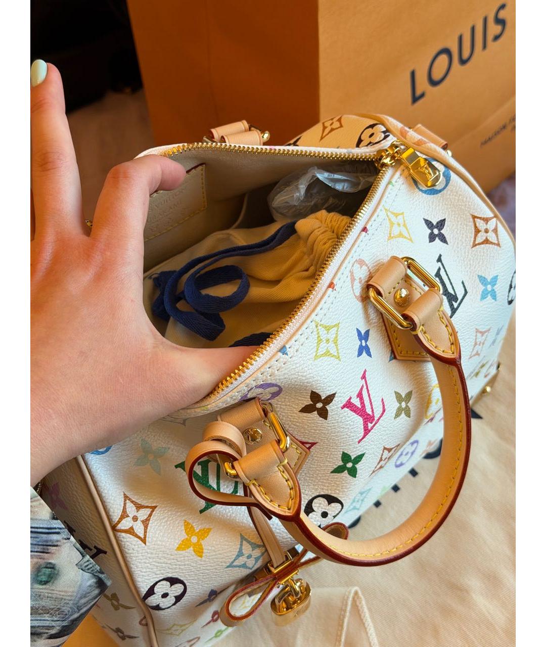 LOUIS VUITTON Мульти сумка с короткими ручками, фото 4