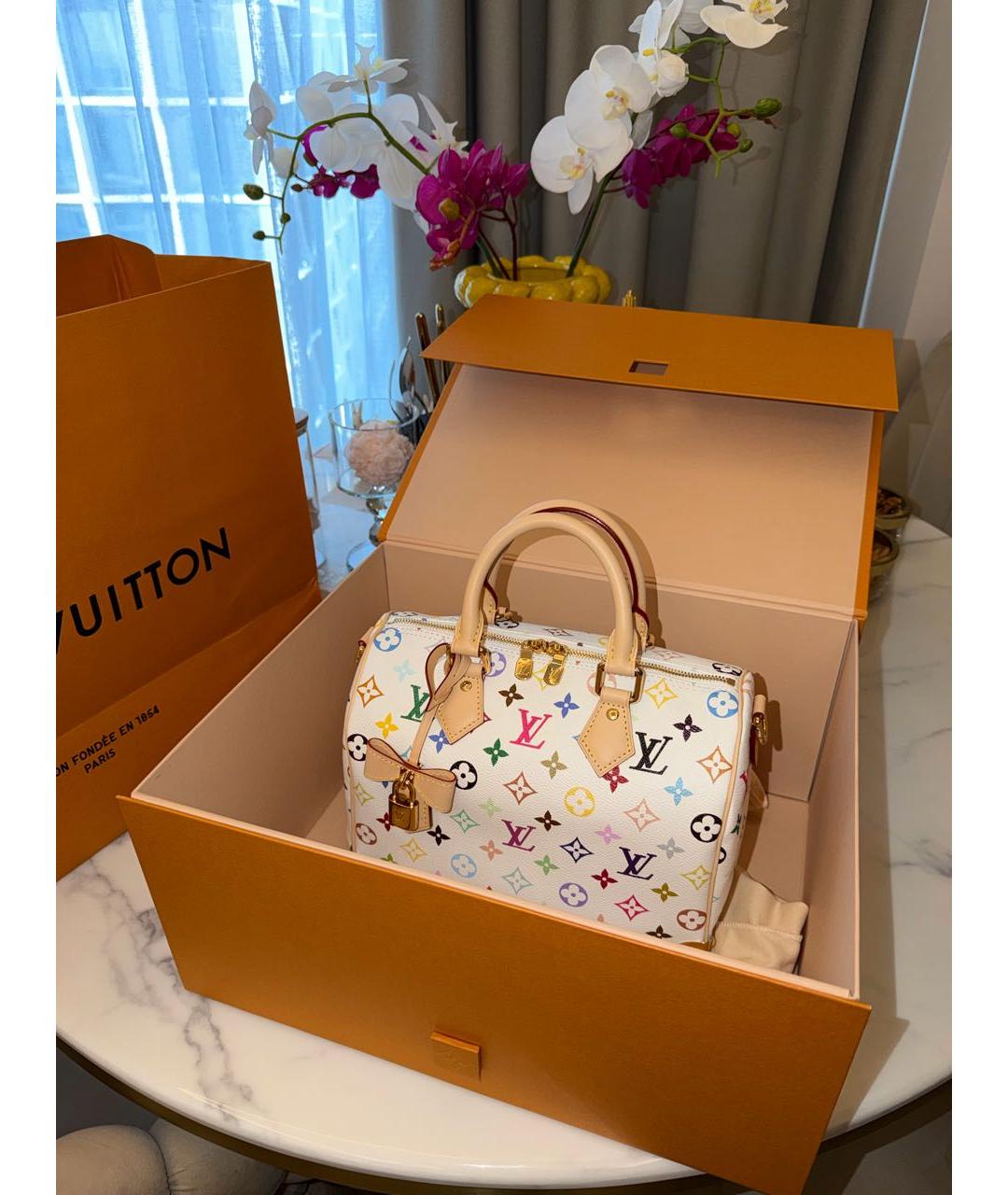 LOUIS VUITTON Мульти сумка с короткими ручками, фото 2