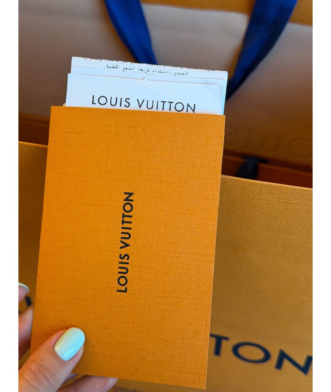 LOUIS VUITTON Мульти сумка с короткими ручками, фото 6