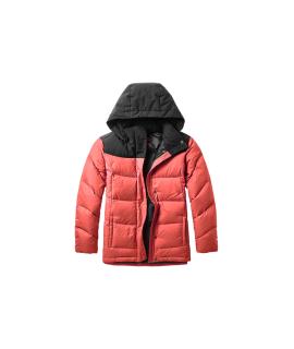 THE NORTH FACE Пуховик