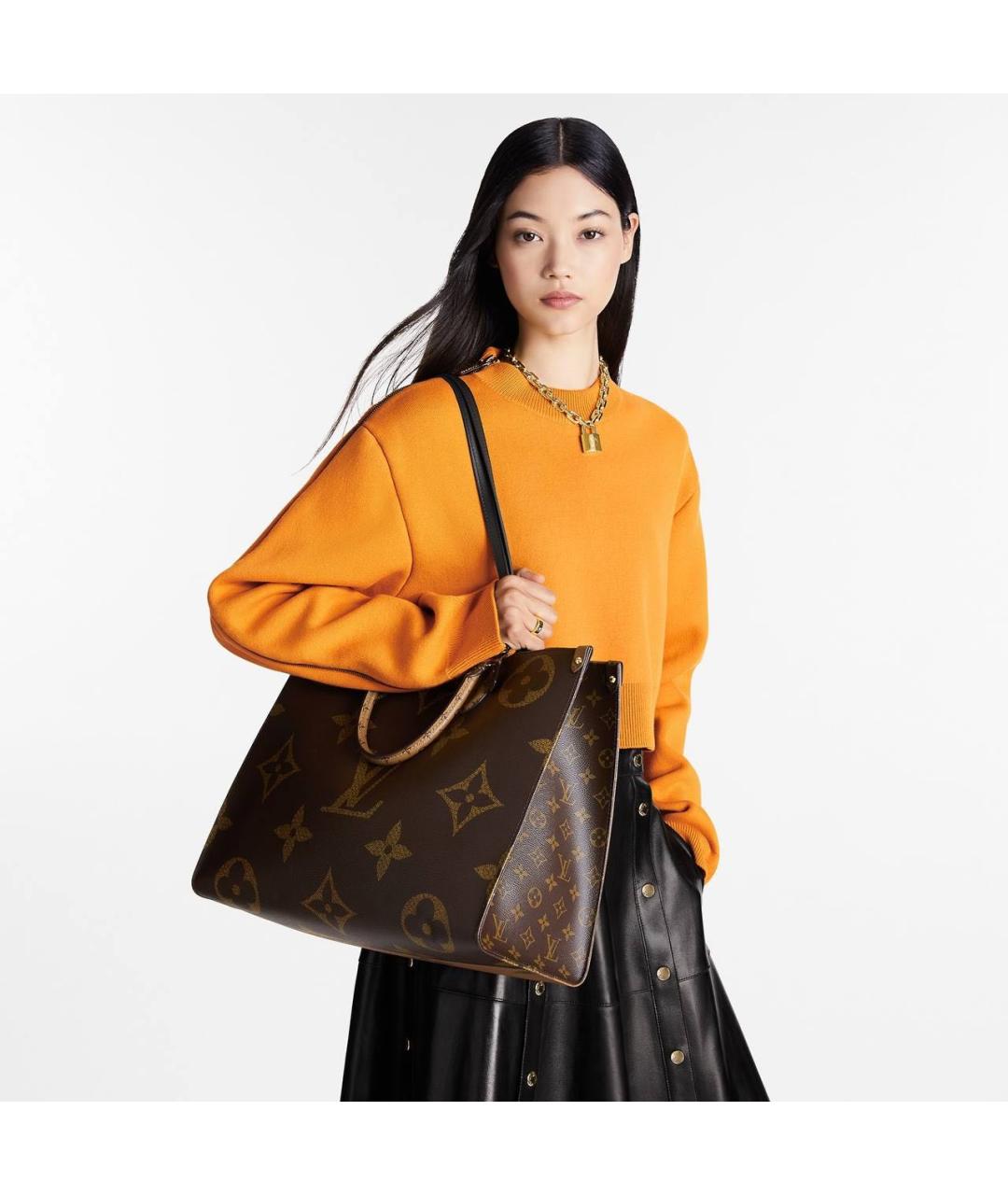 LOUIS VUITTON Коричневая сумка тоут, фото 6