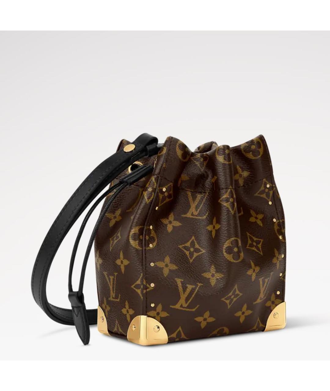 LOUIS VUITTON Коричневая сумка тоут, фото 2