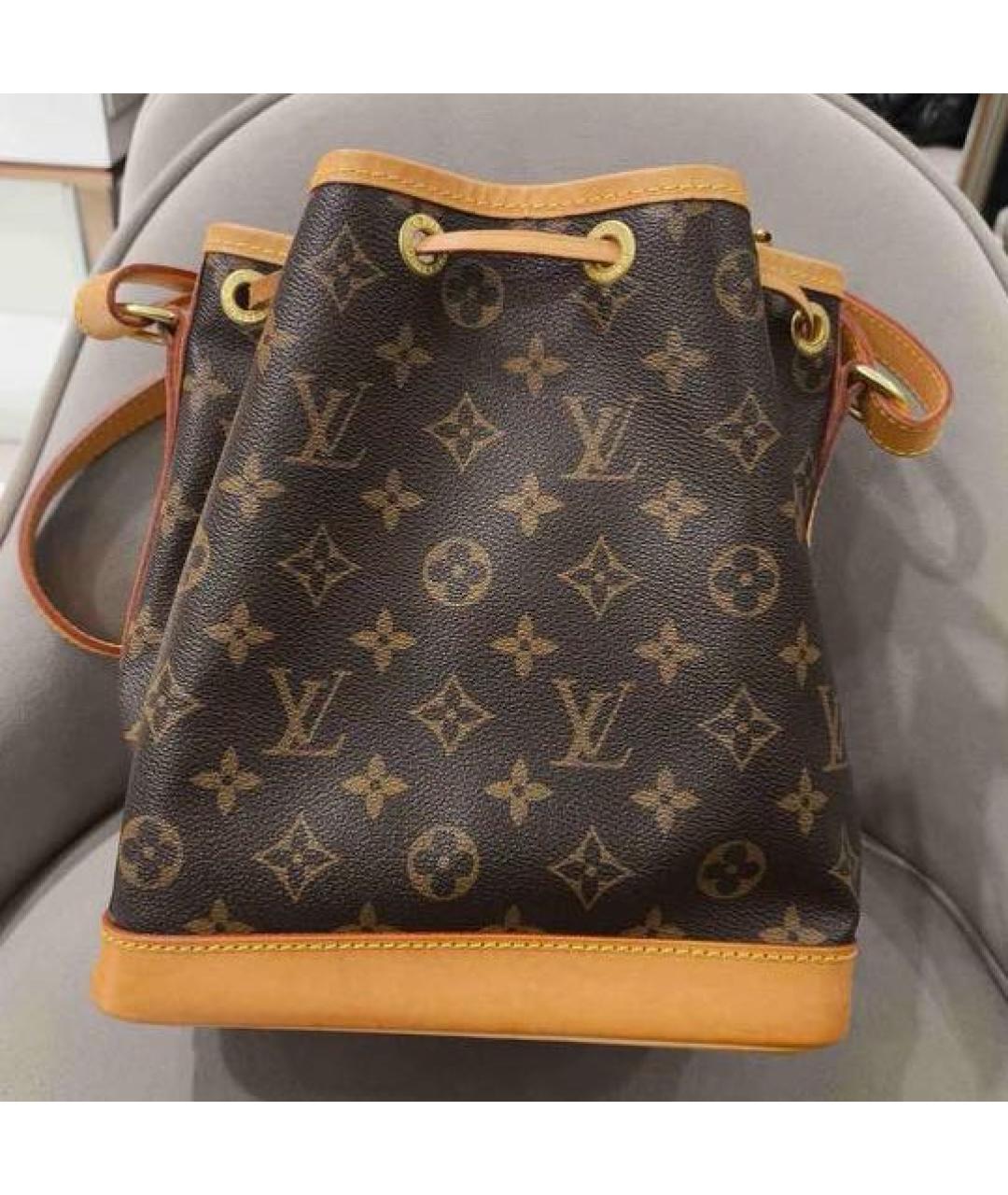 LOUIS VUITTON Коричневая сумка тоут, фото 2