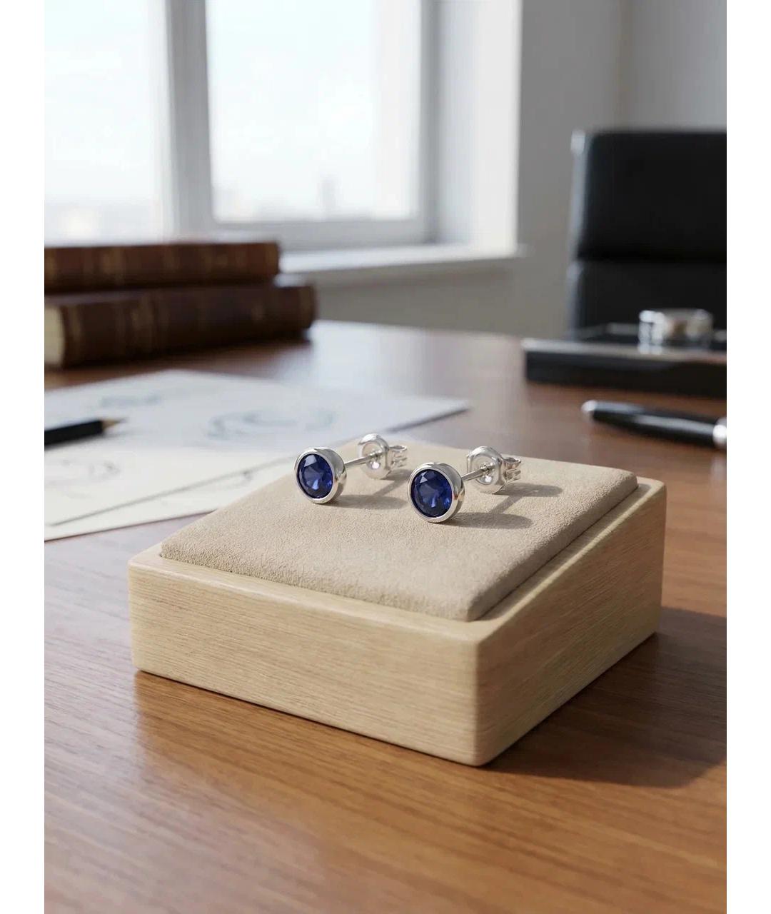 TIFFANY&CO Синие металлические серьги, фото 3