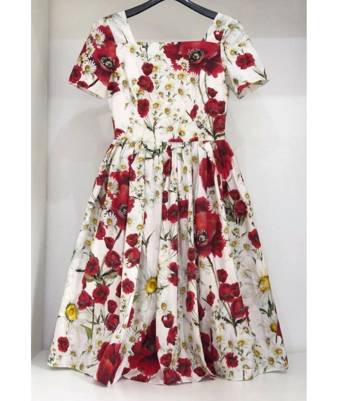 DOLCE&GABBANA Хлопковое повседневное платье, фото 9