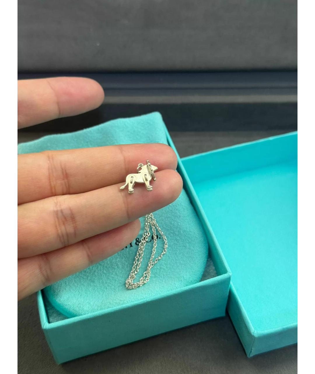 TIFFANY&CO Серебряная серебряная подвеска, фото 5