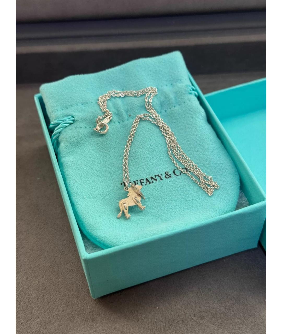TIFFANY&CO Серебряная серебряная подвеска, фото 2