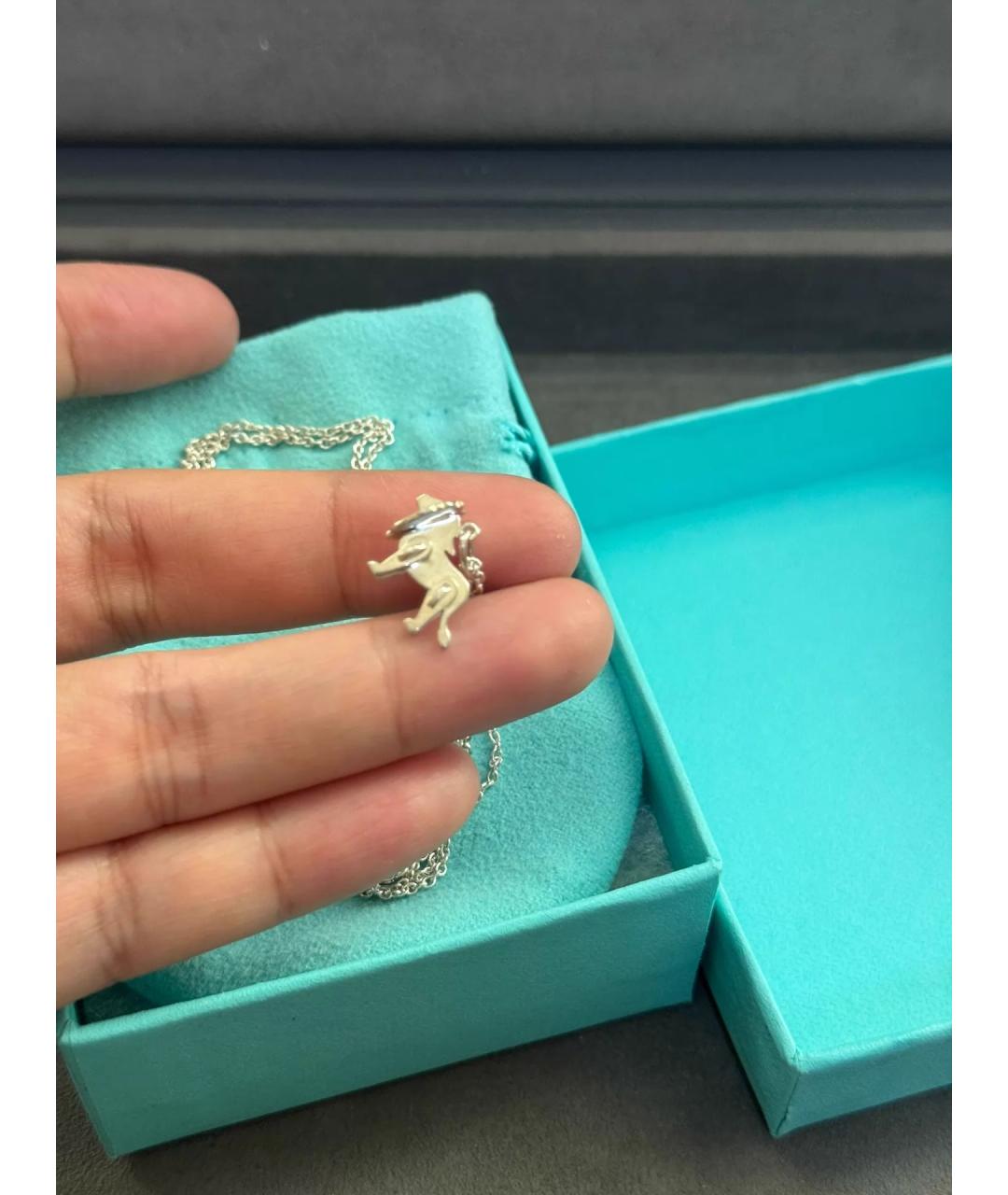 TIFFANY&CO Серебряная серебряная подвеска, фото 6