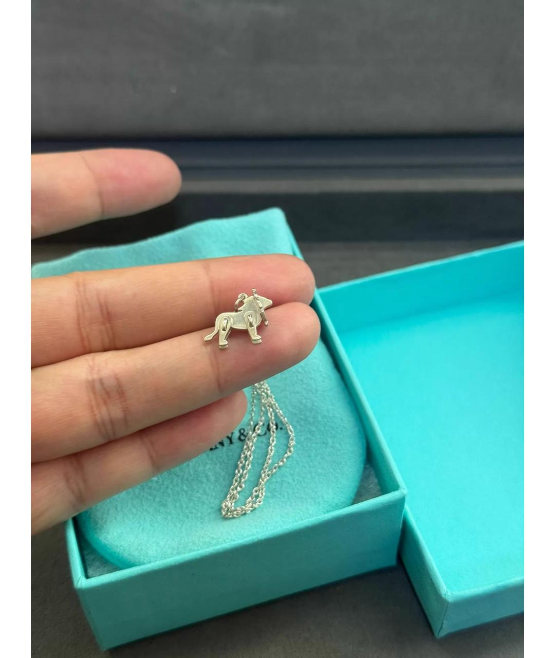 TIFFANY&CO Серебряная серебряная подвеска, фото 4