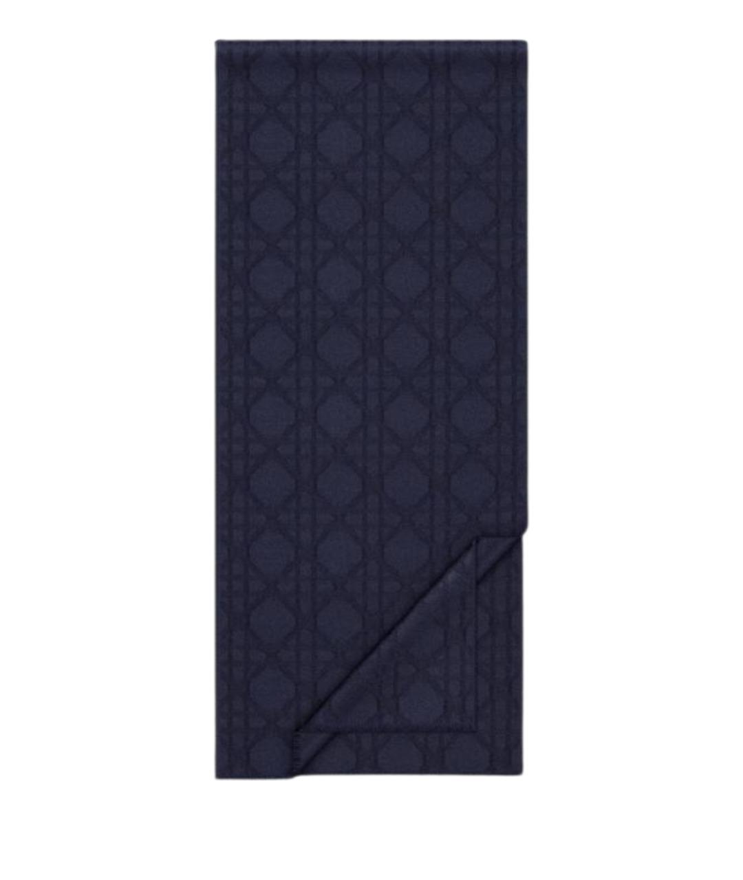 CHRISTIAN DIOR Темно-синий шарф, фото 1