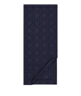CHRISTIAN DIOR Шарф
