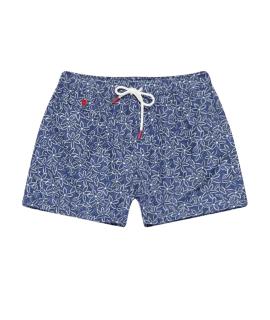 KITON Шорты