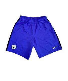 NIKE Шорты