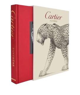 CARTIER Другое
