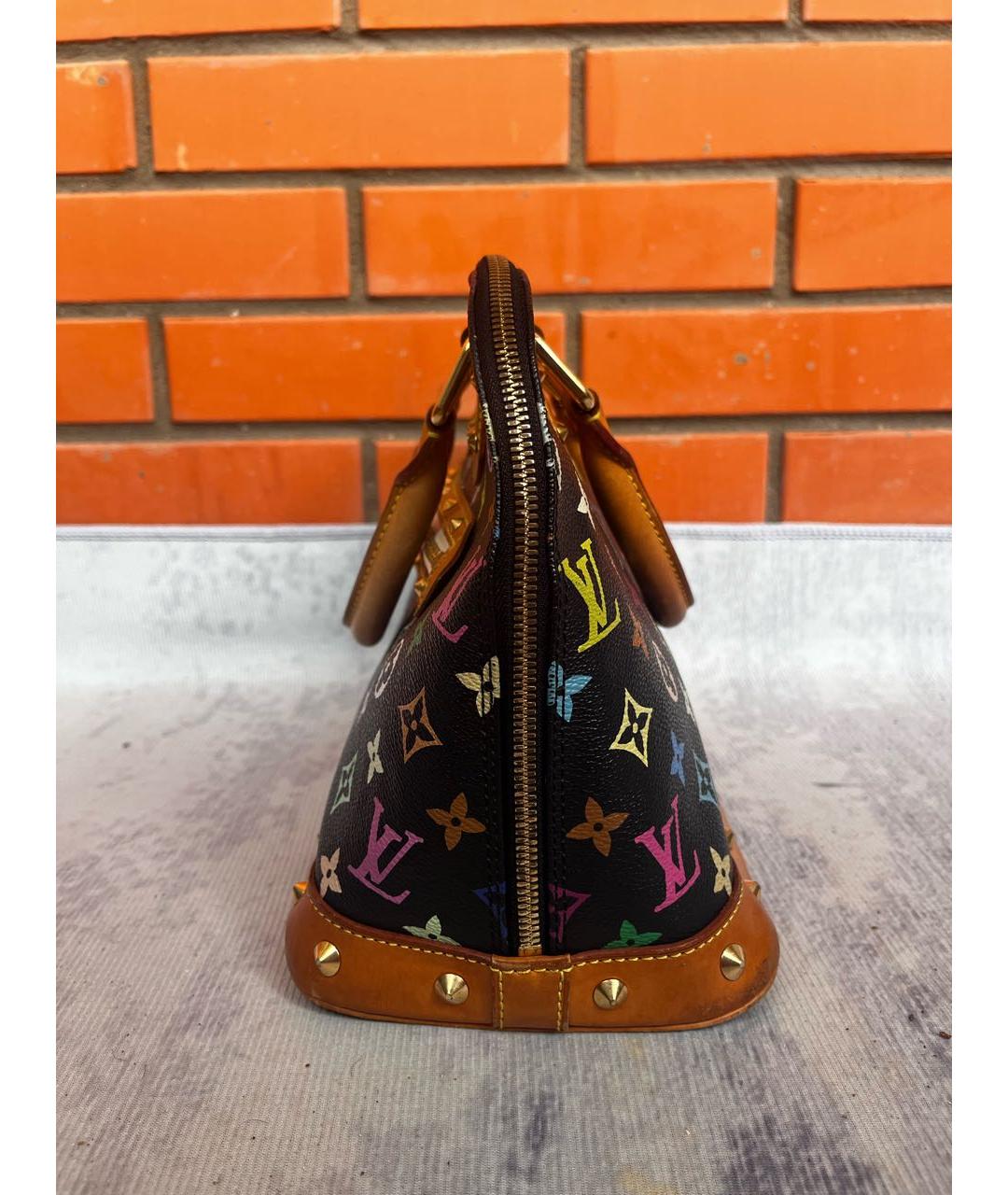 LOUIS VUITTON Мульти сумка с короткими ручками, фото 4