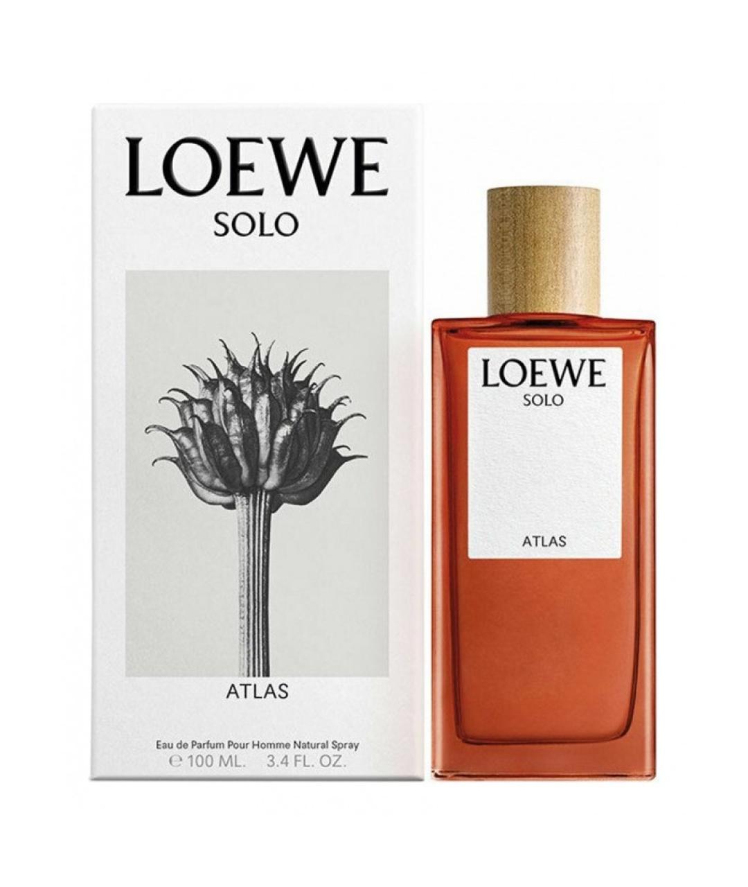 LOEWE Аромат для мужчин, фото 2