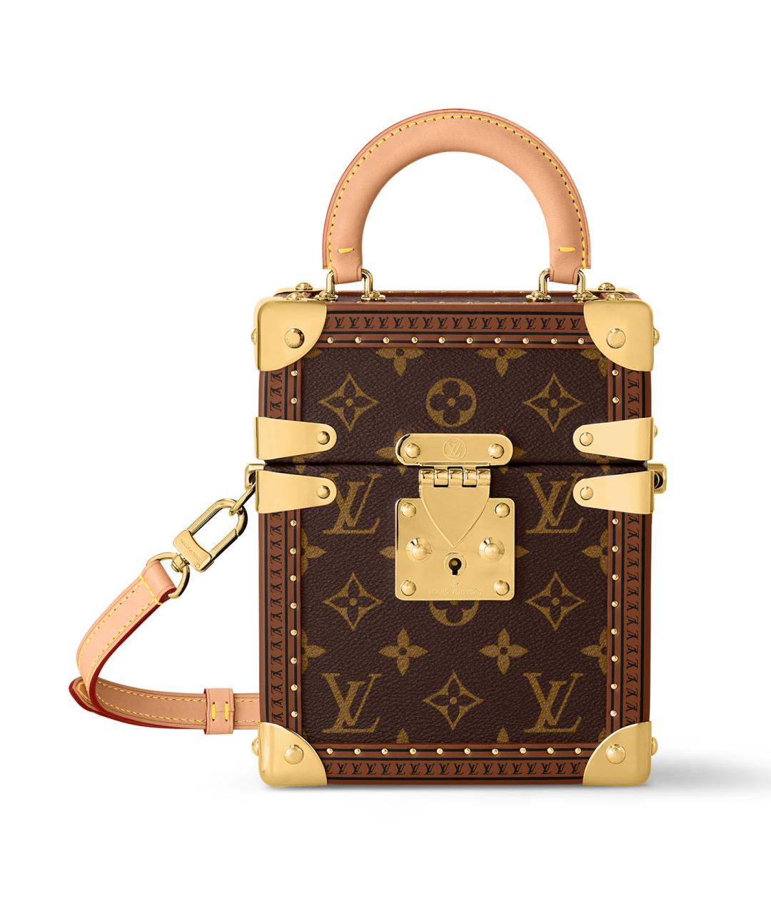 LOUIS VUITTON Коричневая сумка через плечо, фото 10