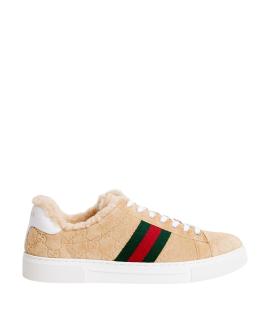 GUCCI Кроссовки