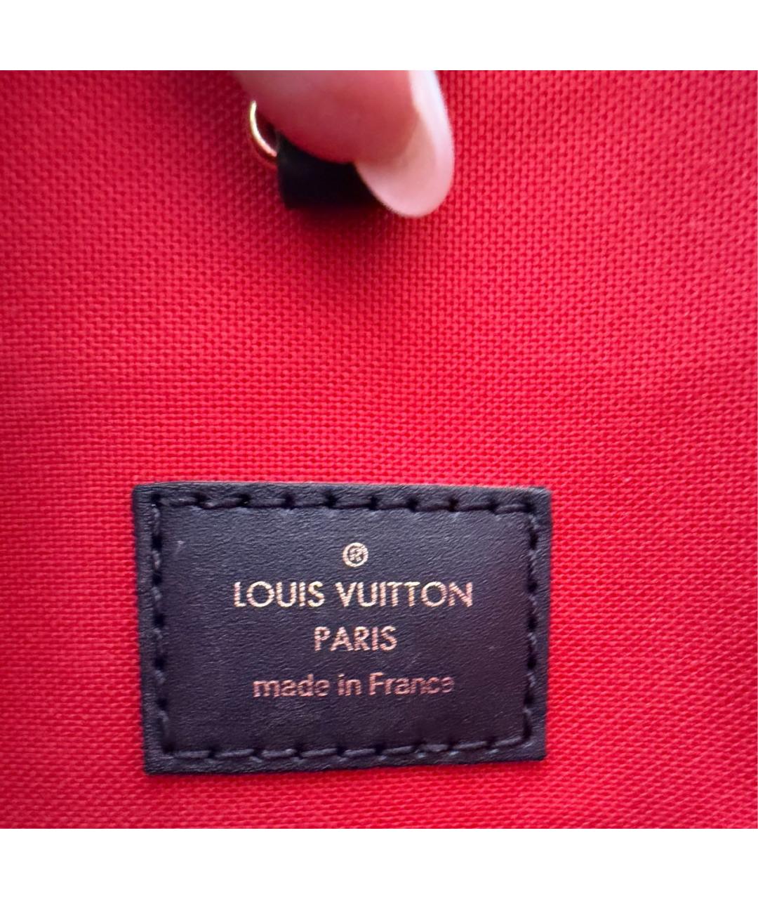 LOUIS VUITTON Коричневая сумка тоут, фото 8