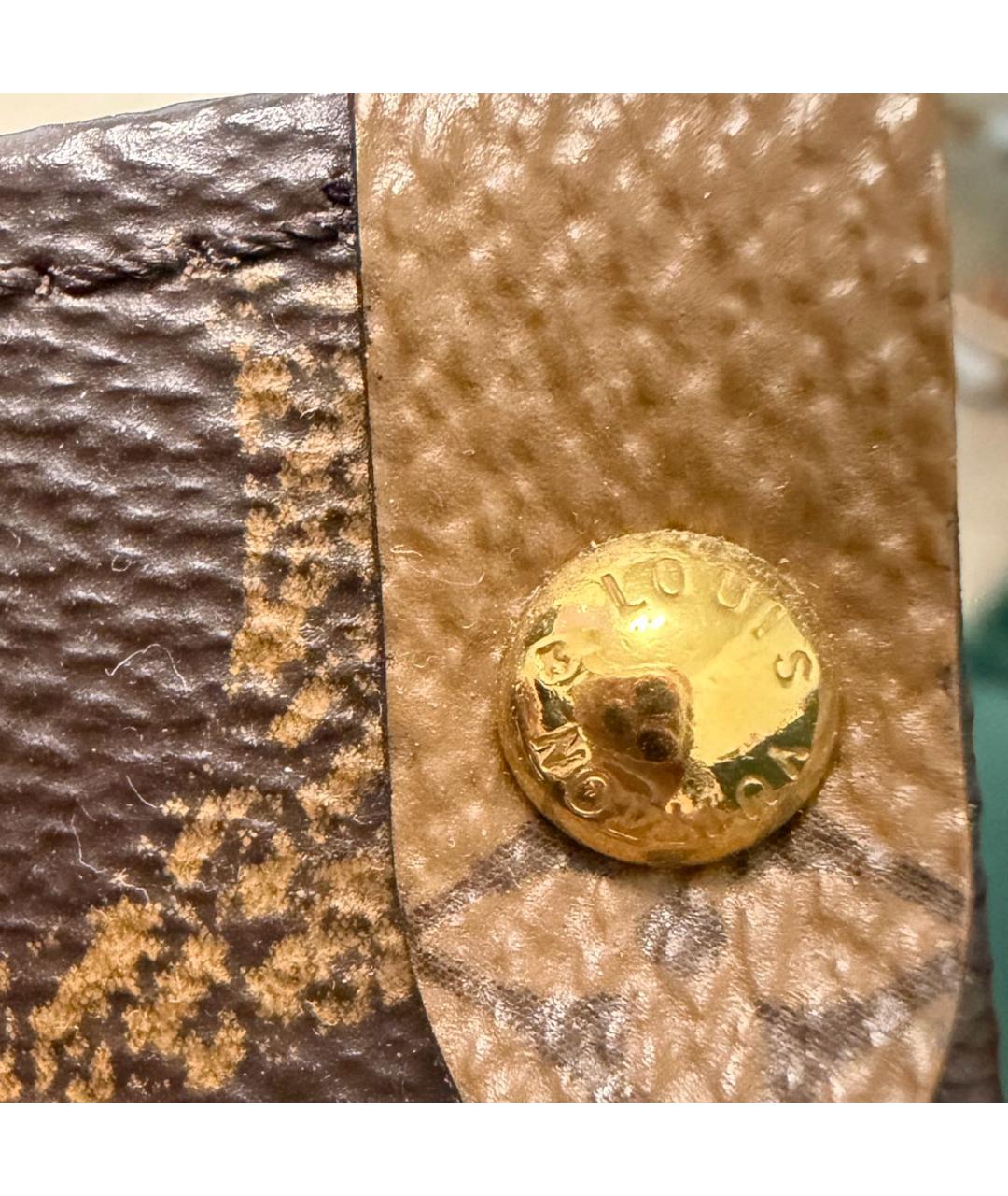 LOUIS VUITTON Коричневая сумка тоут, фото 7