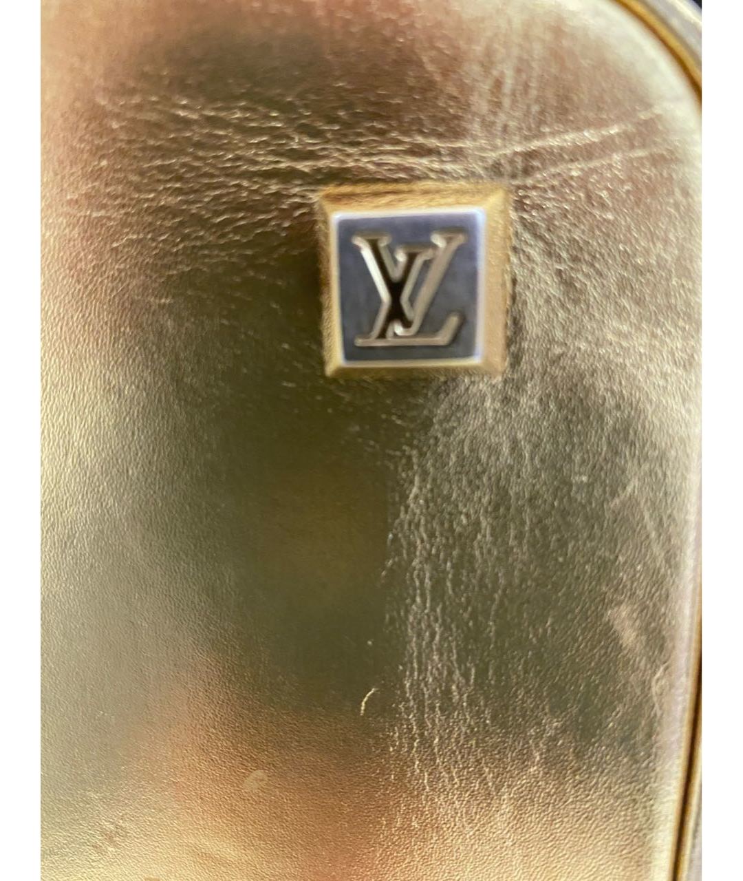 LOUIS VUITTON Золотая кожаная сумка тоут, фото 7