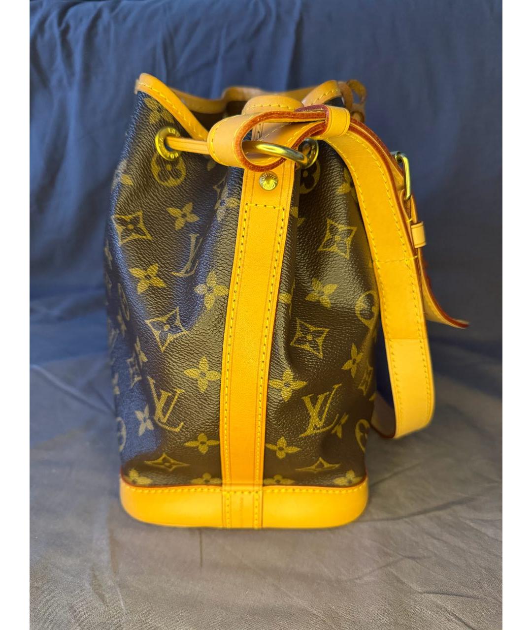 LOUIS VUITTON Коричневая сумка через плечо, фото 4