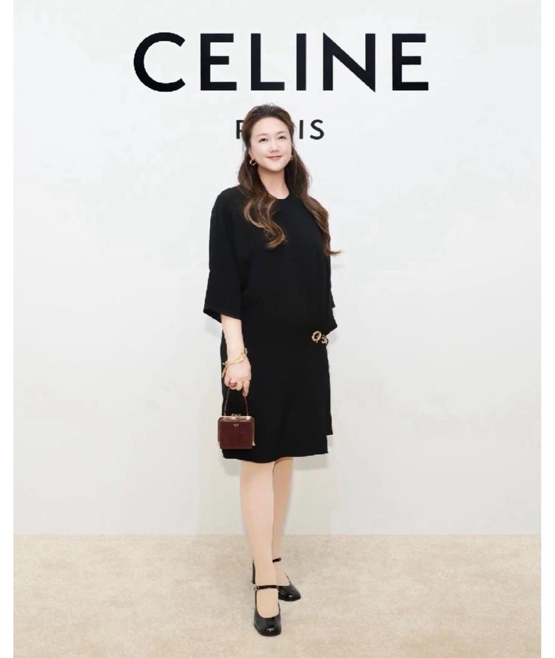 CELINE Черное вискозное повседневное платье, фото 4