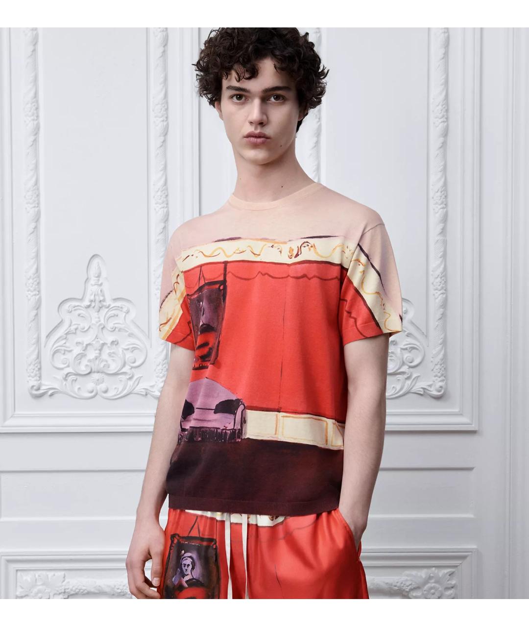 CHRISTIAN DIOR Мульти хлопковая футболка, фото 2