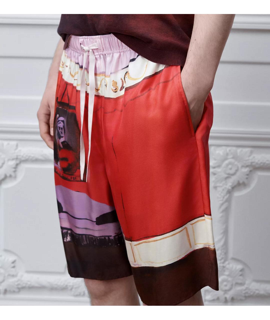 CHRISTIAN DIOR Мульти шорты, фото 2