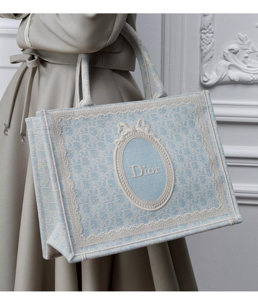 CHRISTIAN DIOR Голубая тканевая сумка тоут, фото 2