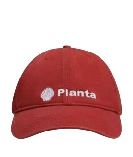 PLANTA ROSA Кепка
