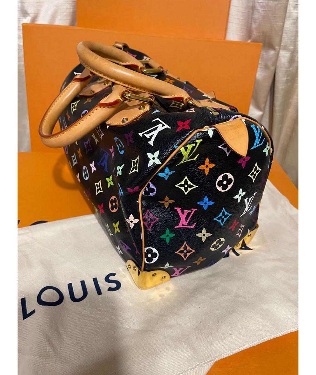 LOUIS VUITTON Мульти сумка с короткими ручками, фото 2