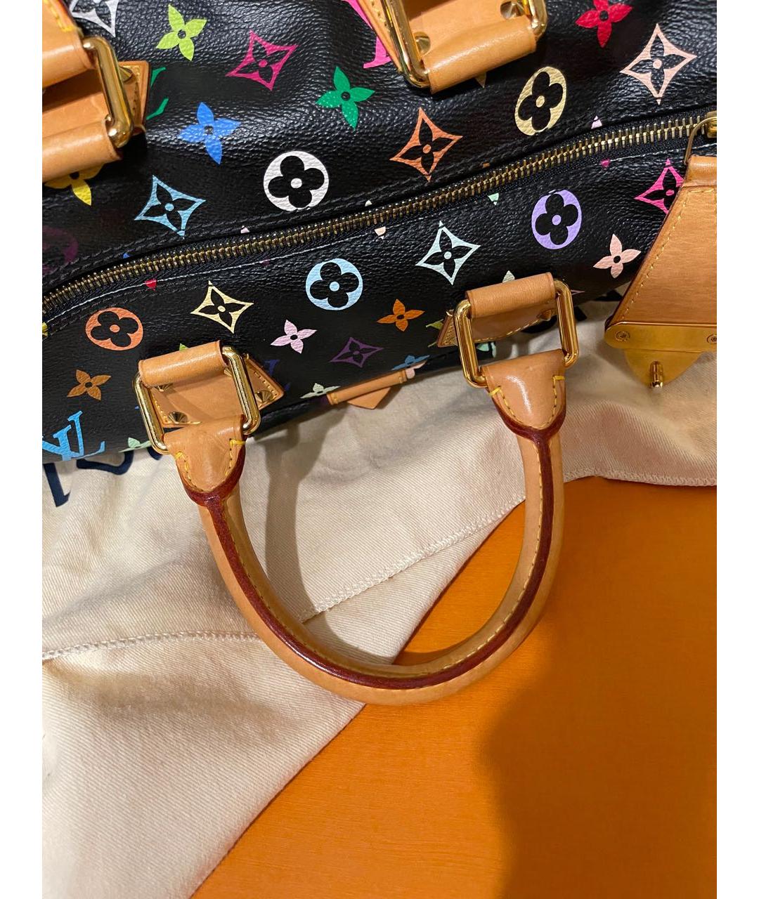 LOUIS VUITTON Мульти сумка с короткими ручками, фото 6