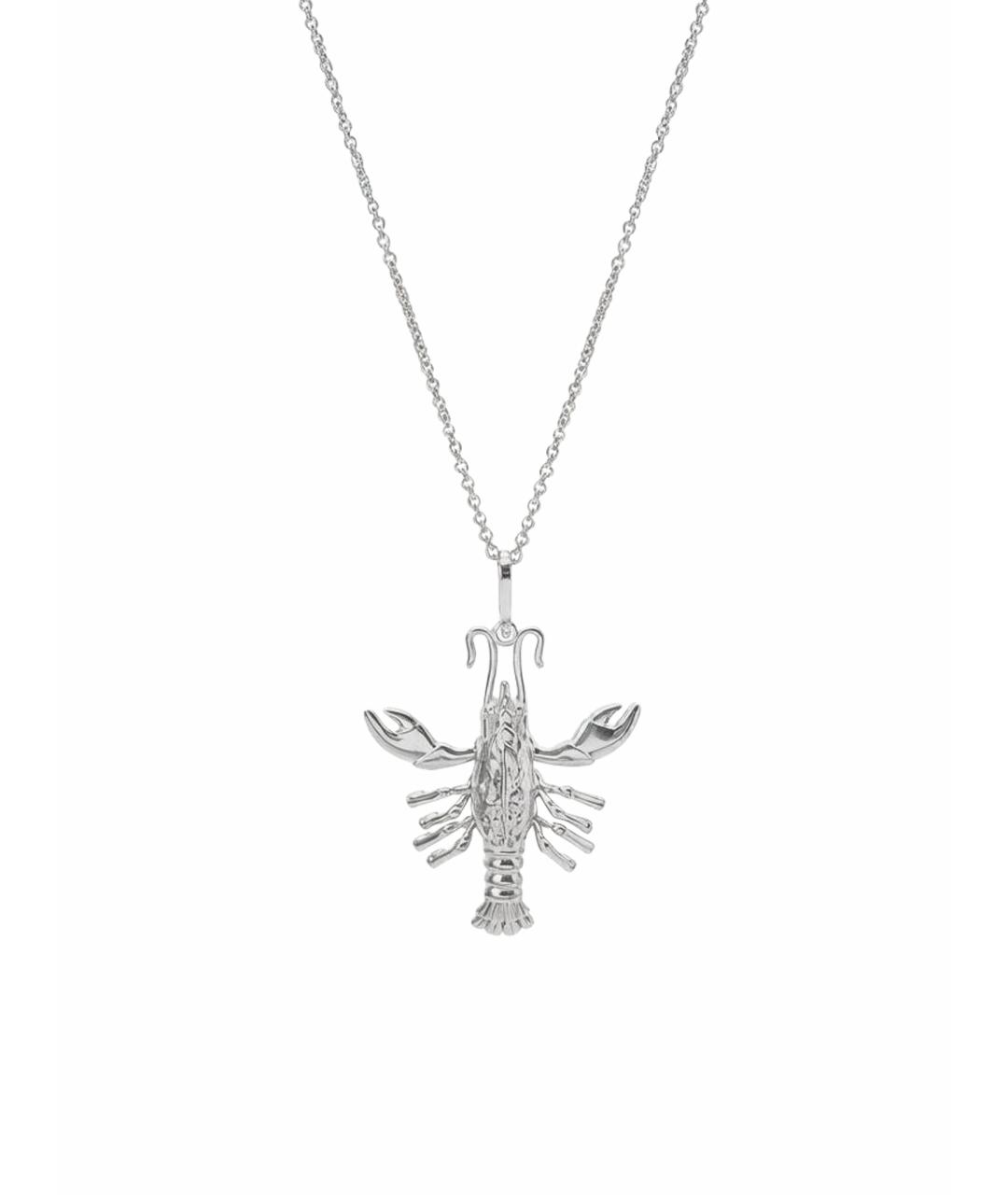 SAINT LAURENT Серебряная латунная цепочка, фото 1