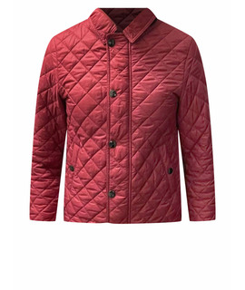 BURBERRY KIDS Верхняя одежда