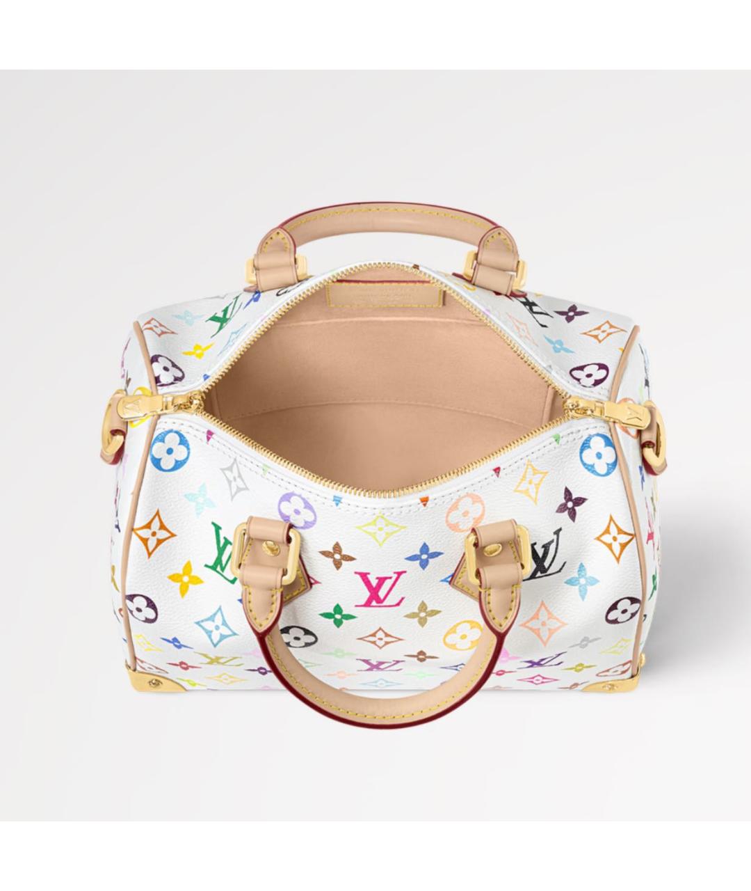 LOUIS VUITTON Мульти сумка с короткими ручками, фото 3