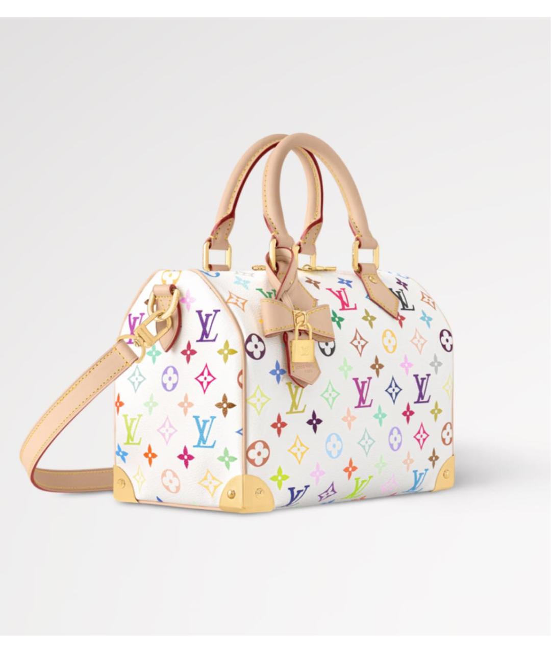 LOUIS VUITTON Мульти сумка с короткими ручками, фото 2