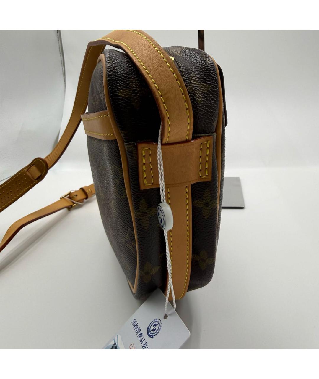 LOUIS VUITTON Кожаная сумка через плечо, фото 3
