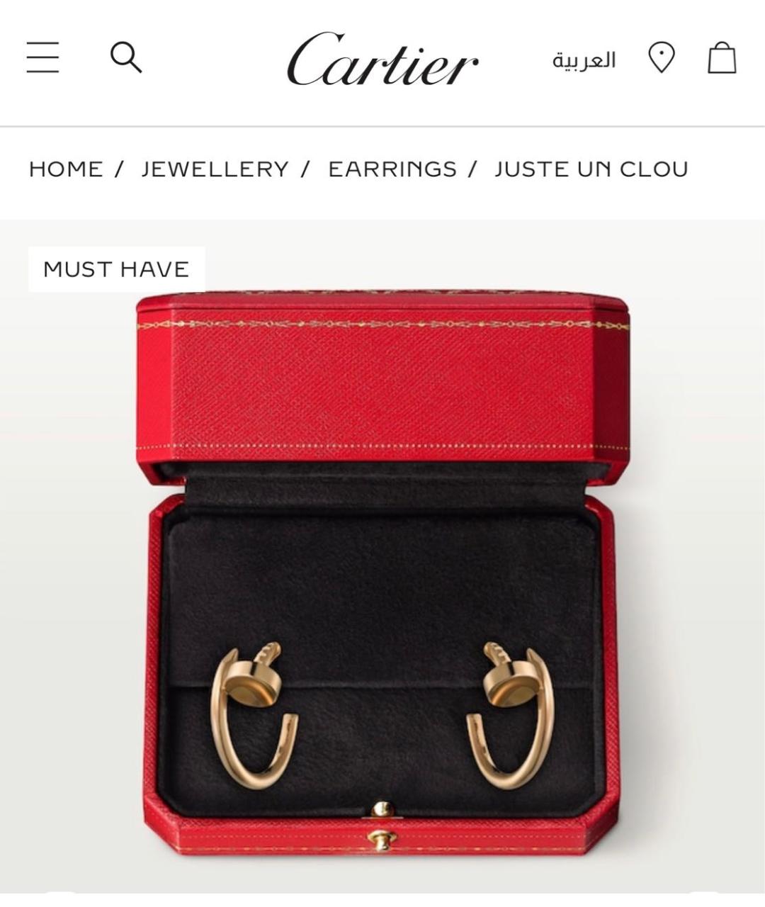 CARTIER Желтые серьги из желтого золота, фото 3