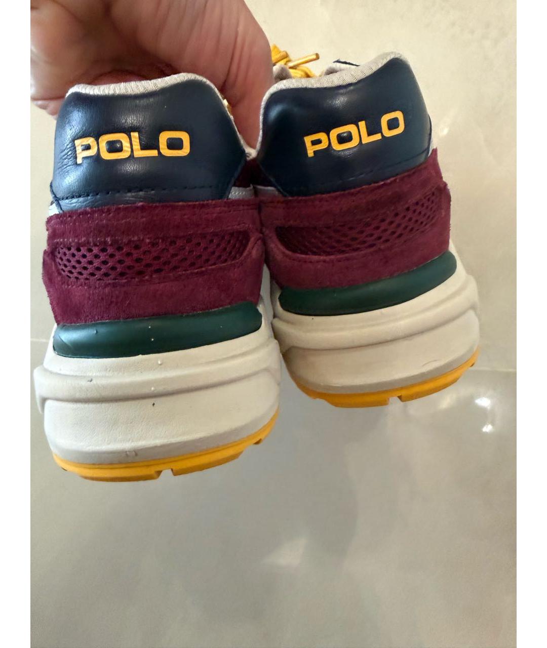 POLO RALPH LAUREN Мульти замшевые низкие кроссовки / кеды, фото 4