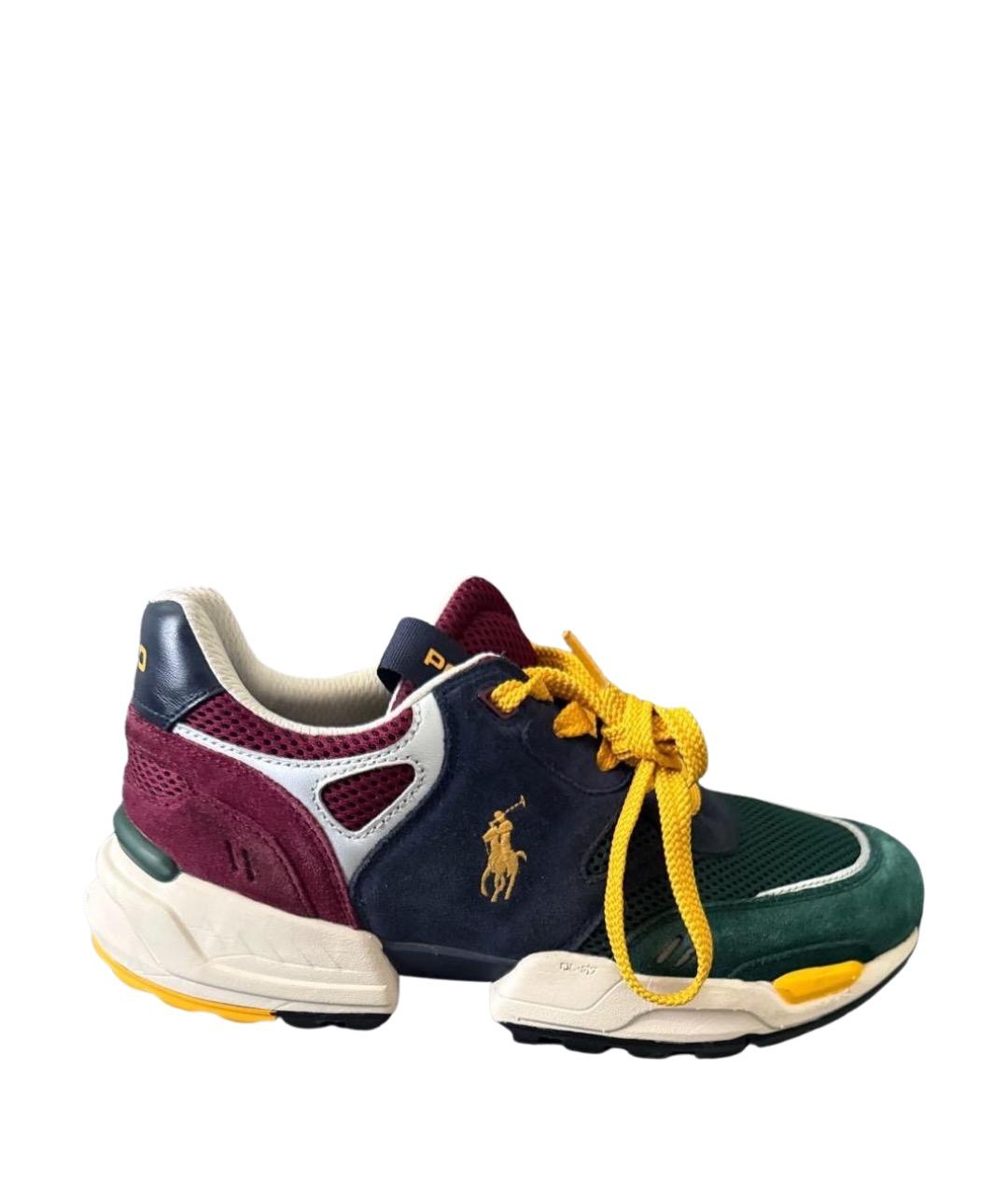 POLO RALPH LAUREN Мульти замшевые низкие кроссовки / кеды, фото 1