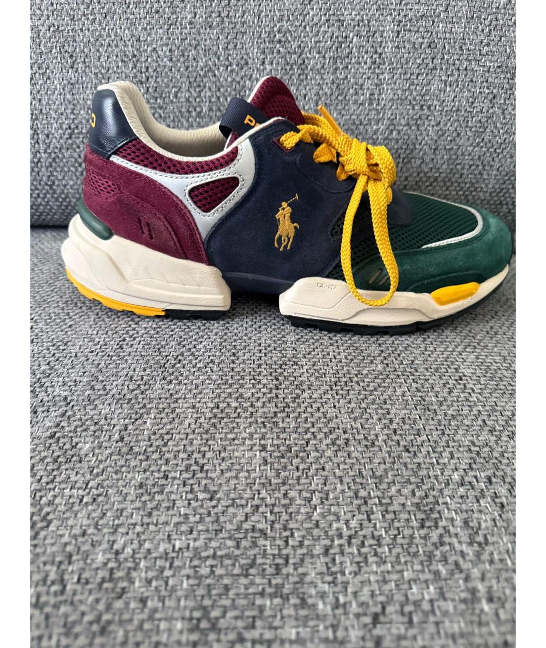 POLO RALPH LAUREN Мульти замшевые низкие кроссовки / кеды, фото 6