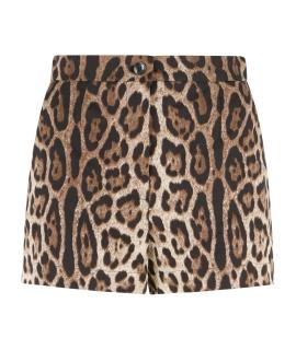DOLCE&GABBANA Шорты