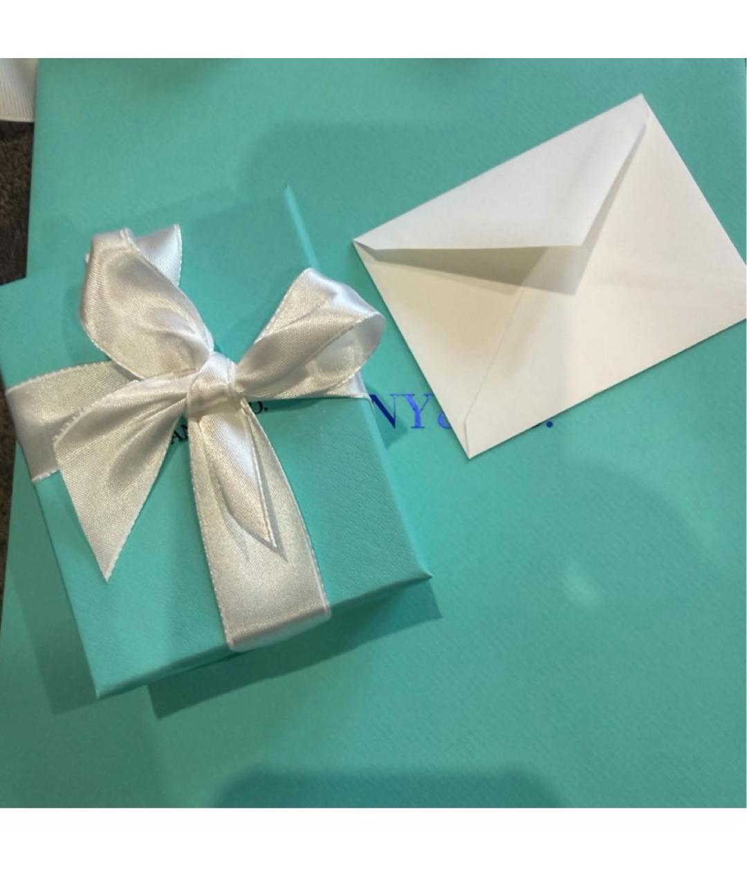 TIFFANY&CO Серебряные серебряные серьги, фото 3