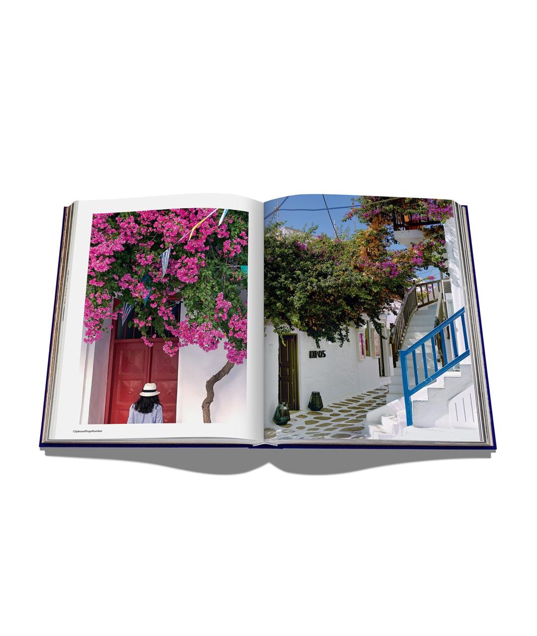 ASSOULINE Голубая книга, фото 4