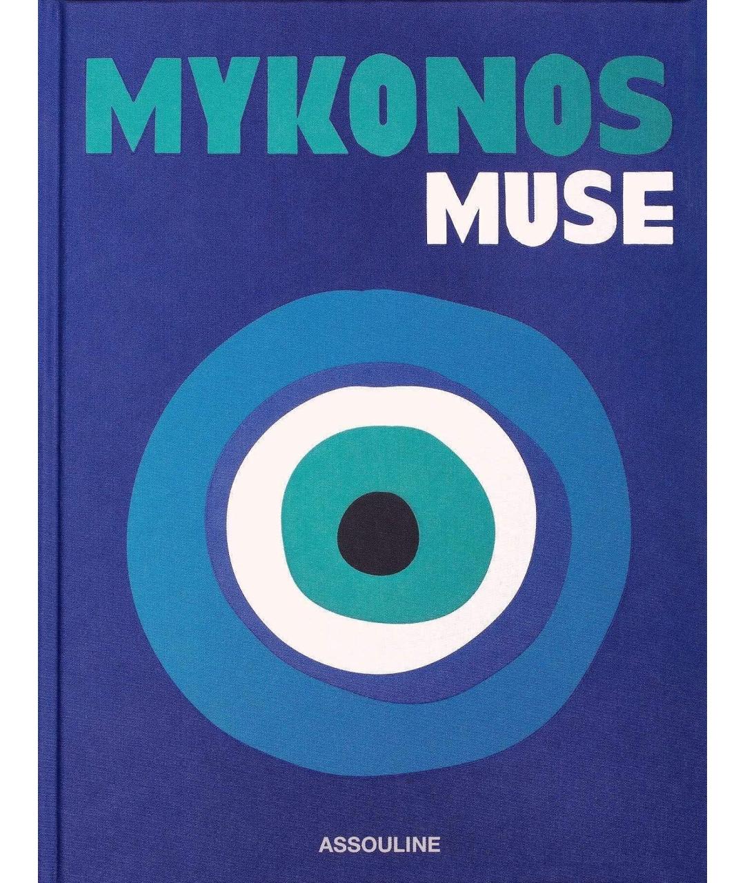 ASSOULINE Голубая книга, фото 1