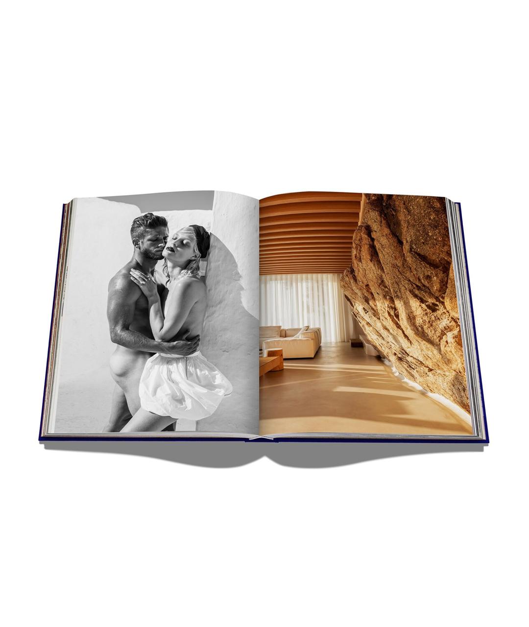 ASSOULINE Голубая книга, фото 8